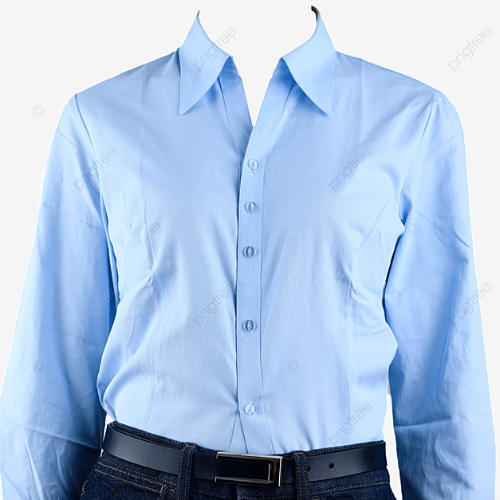 Ladies Shirt