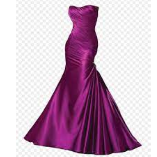 Evening Dress/Delicate/Gown